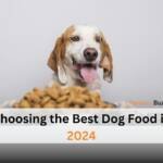 Choosing the Best Dog Food in 2024