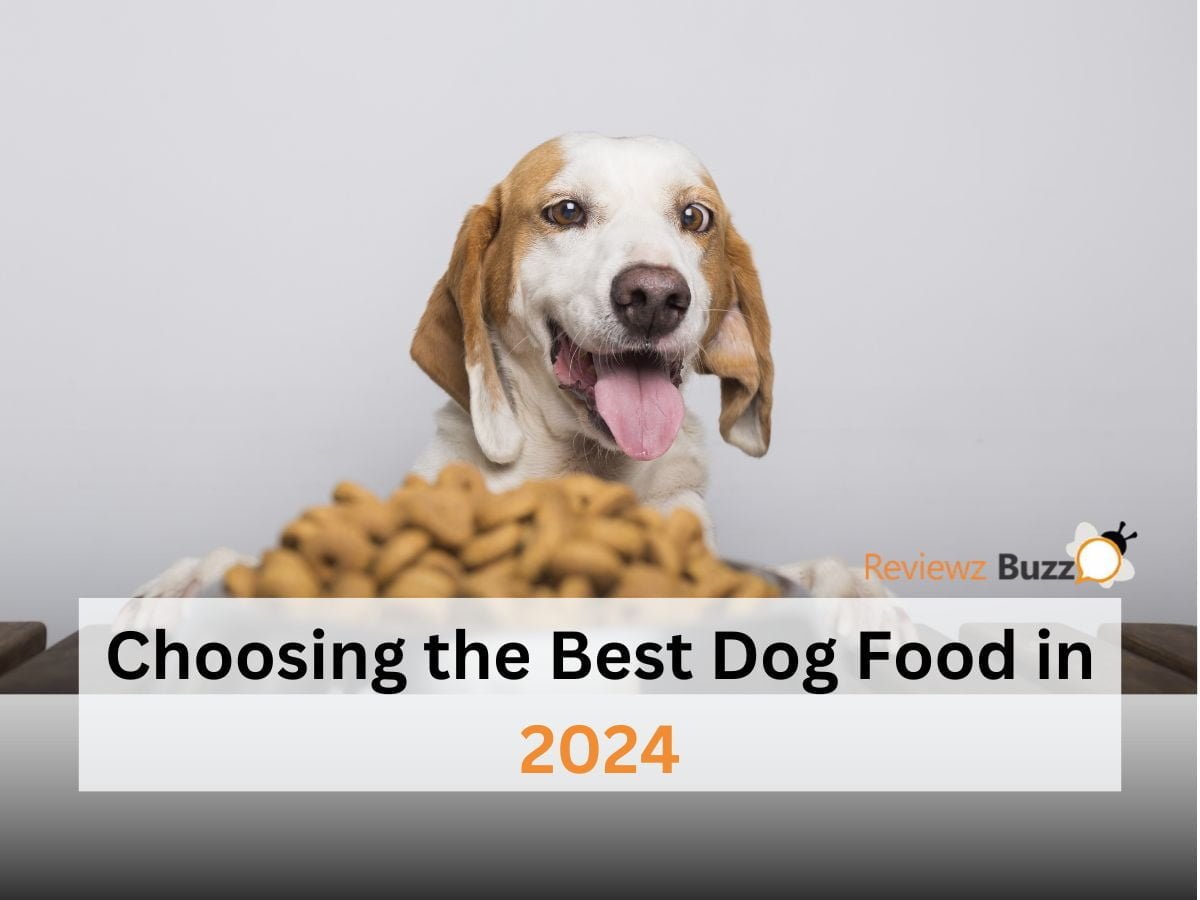 Choosing the Best Dog Food in 2024