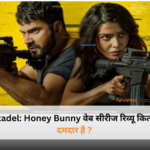 Citadel: Honey Bunny series review, adventure comedy web series, must-watch comedy shows, 2024 web series review, Citadel Honey Bunny cast and plot.